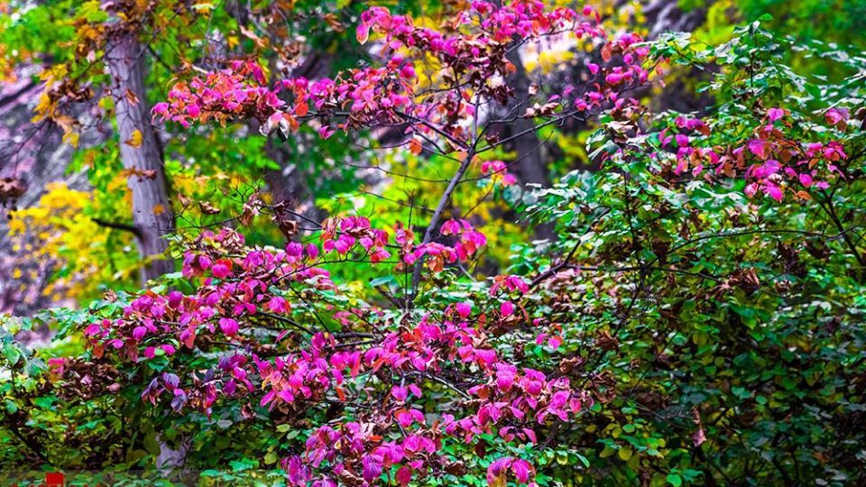 دربند هزار رنگ دربند هزار رنگ