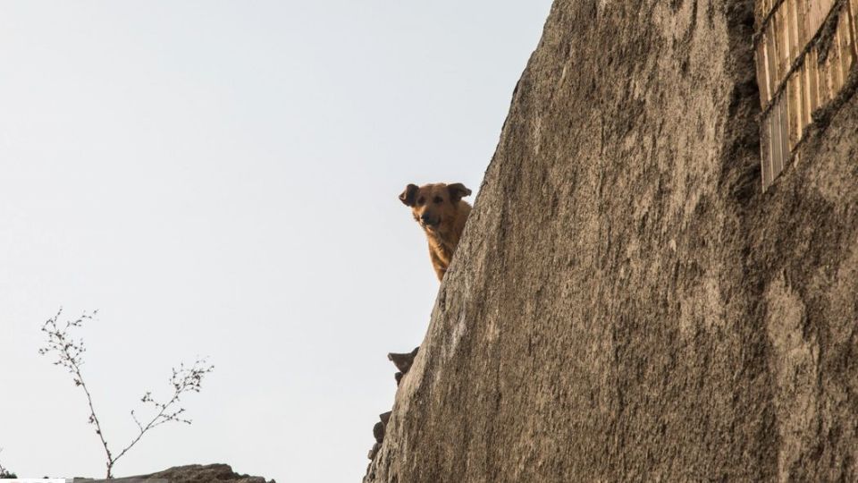 کوخ نشینان غرب تهران کوخ نشینان غرب تهران
