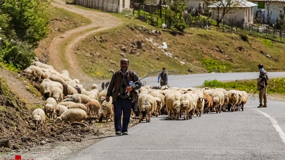 جاده اسالم به خلخال جاده اسالم به خلخال