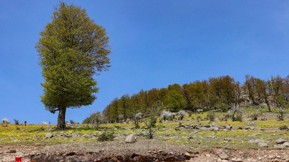 جاده اسالم به خلخال جاده اسالم به خلخال