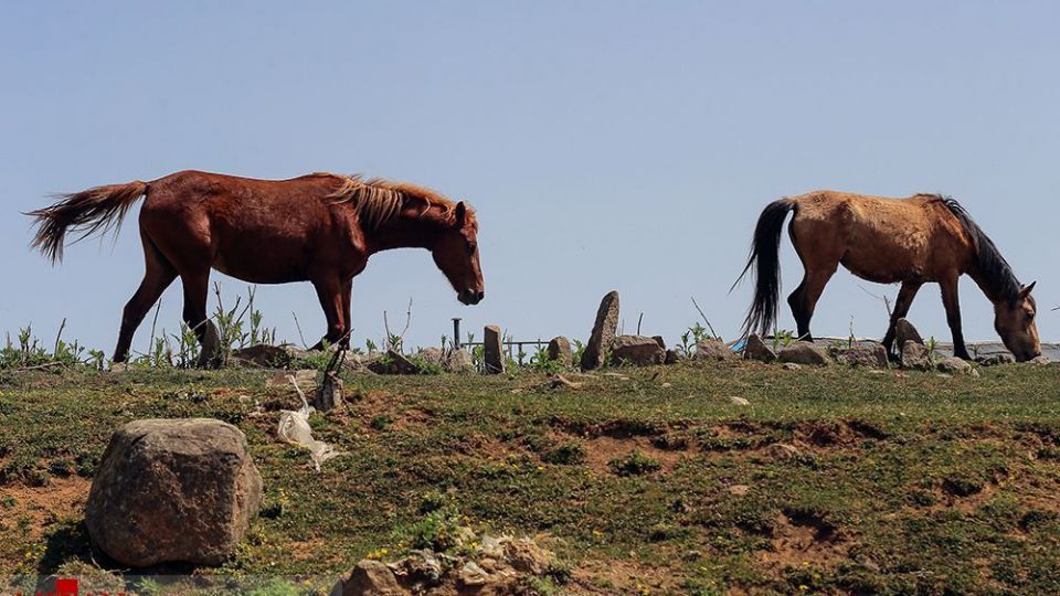 جاده اسالم به خلخال جاده اسالم به خلخال