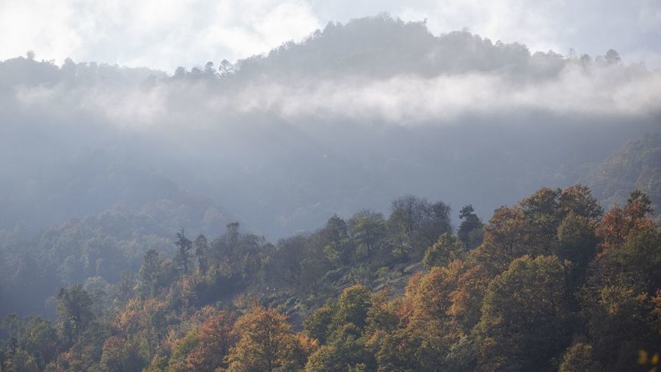 روستای شاه میلرزان - گیلان روستای شاه میلرزان - گیلان