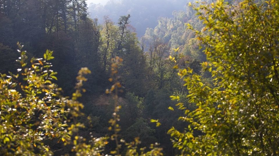 روستای شاه میلرزان - گیلان روستای شاه میلرزان - گیلان