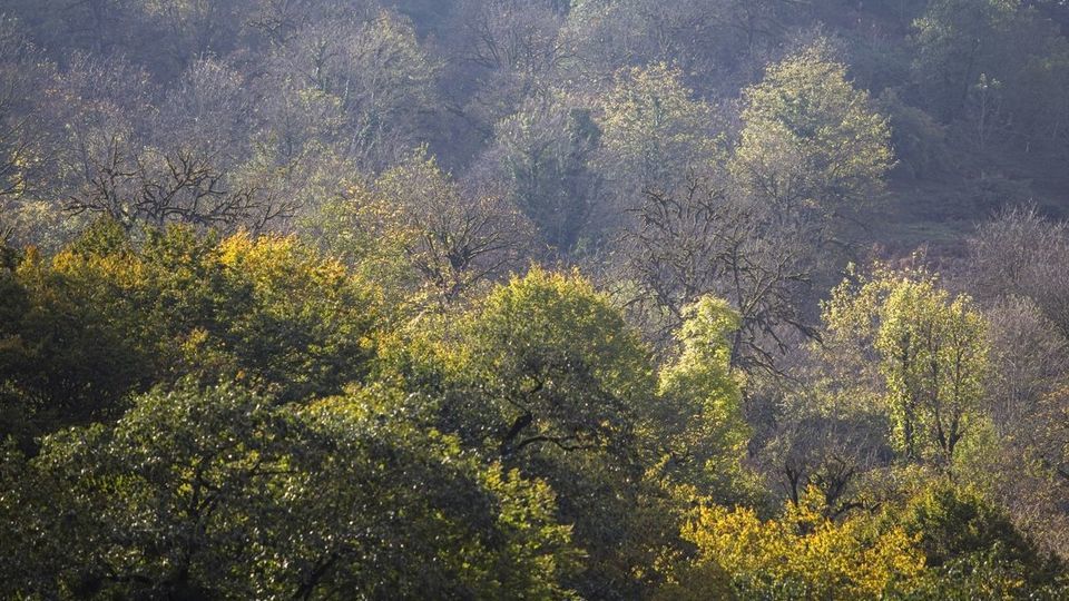 روستای شاه میلرزان - گیلان روستای شاه میلرزان - گیلان