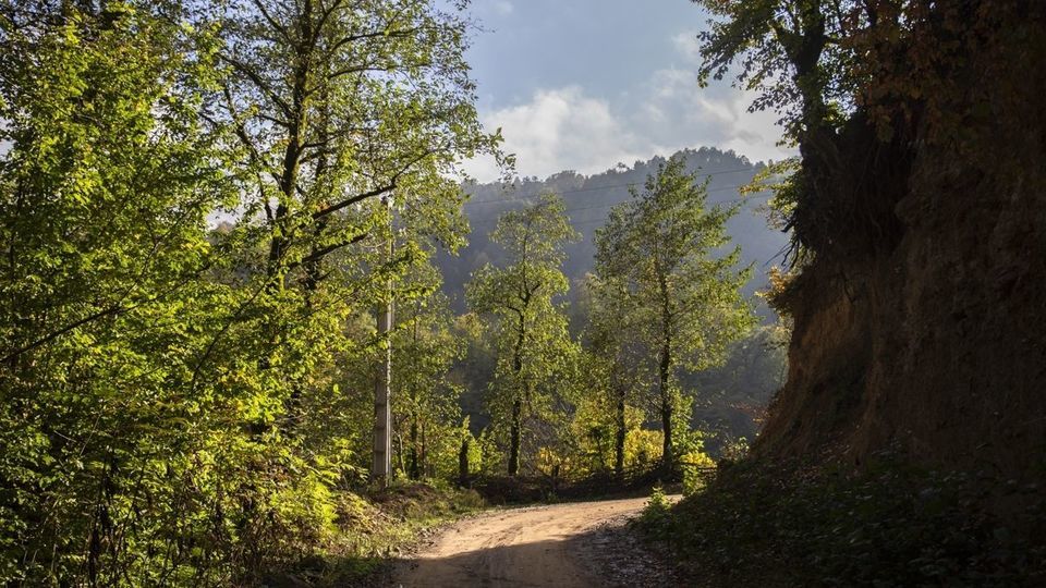روستای شاه میلرزان - گیلان روستای شاه میلرزان - گیلان