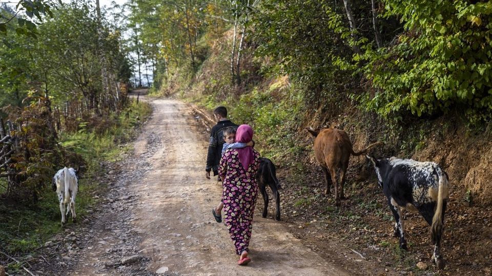 روستای شاه میلرزان - گیلان روستای شاه میلرزان - گیلان