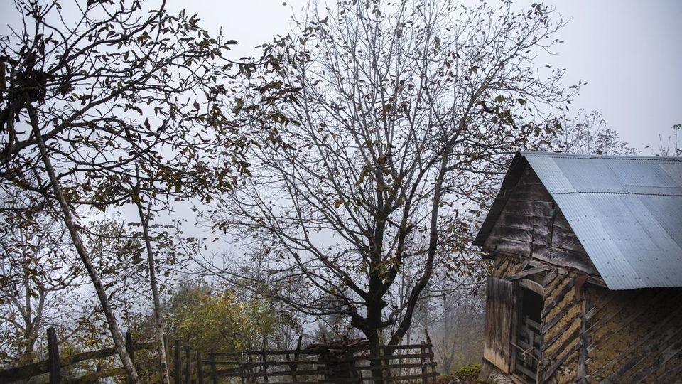 روستای شاه میلرزان - گیلان روستای شاه میلرزان - گیلان