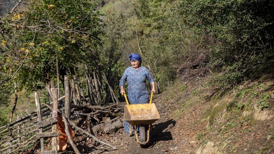 روستای شاه میلرزان - گیلان روستای شاه میلرزان - گیلان