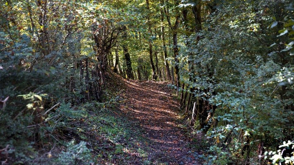 روستای شاه میلرزان - گیلان روستای شاه میلرزان - گیلان