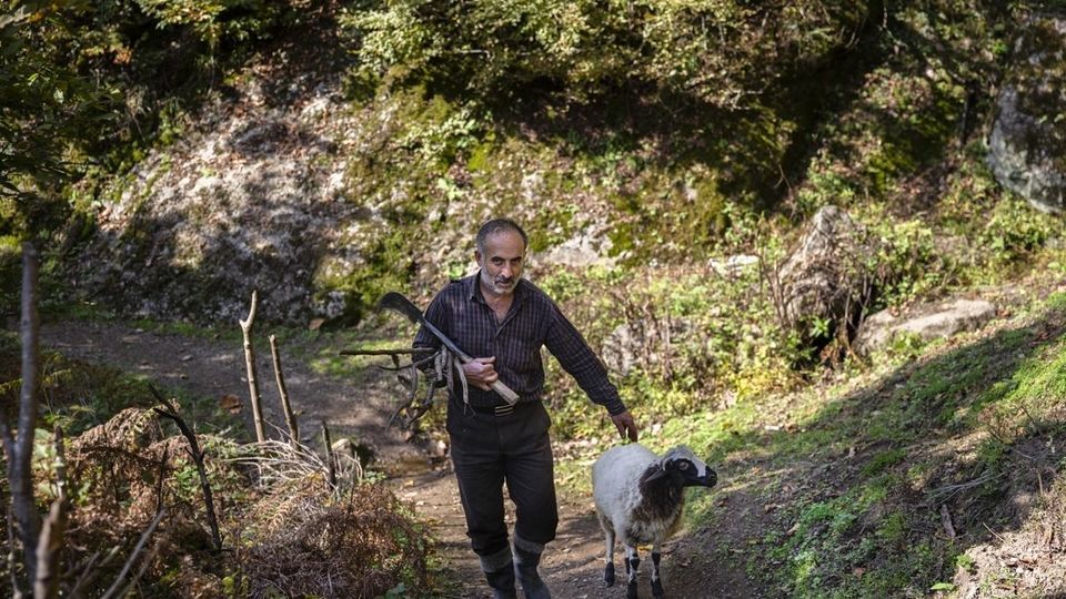 روستای شاه میلرزان - گیلان روستای شاه میلرزان - گیلان