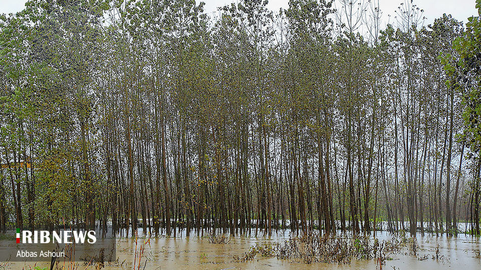 خسارت سیل در مناطق صومعه سرا خسارت سیل در مناطق صومعه سرا