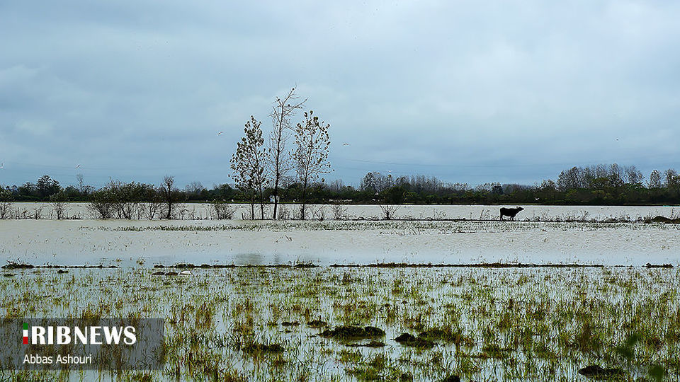 خسارت سیل در مناطق صومعه سرا خسارت سیل در مناطق صومعه سرا