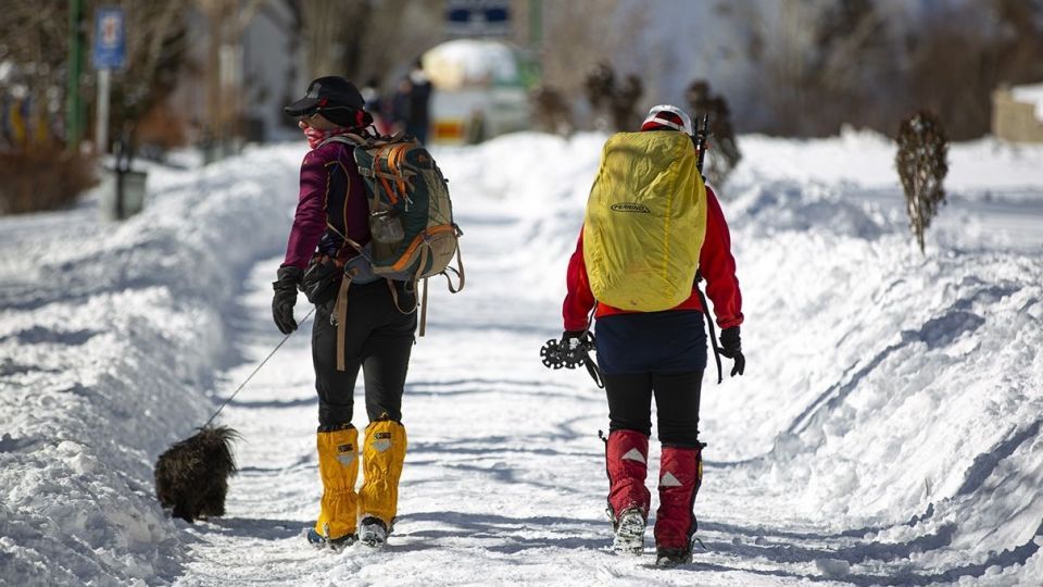آبشار گنجنامه یخ زد آبشار گنجنامه یخ زد