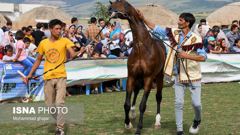 شانزدهمین جشنواره ملی زیبایی اسب اصیل ترکمن شانزدهمین جشنواره ملی زیبایی اسب اصیل ترکمن