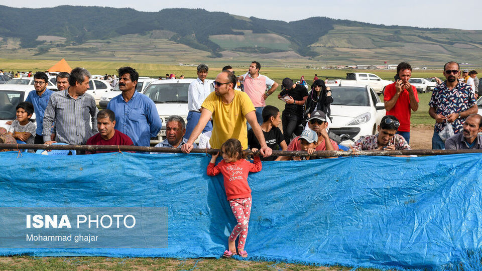 شانزدهمین جشنواره ملی زیبایی اسب اصیل ترکمن شانزدهمین جشنواره ملی زیبایی اسب اصیل ترکمن
