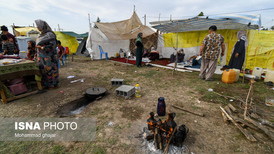 شانزدهمین جشنواره ملی زیبایی اسب اصیل ترکمن شانزدهمین جشنواره ملی زیبایی اسب اصیل ترکمن