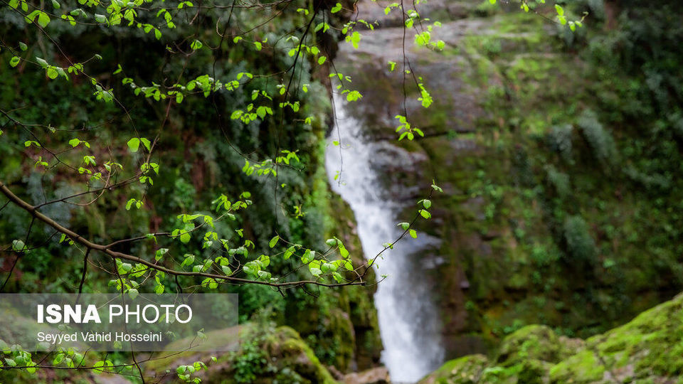 آبشارهای روستای «شالما» آبشارهای روستای «شالما»