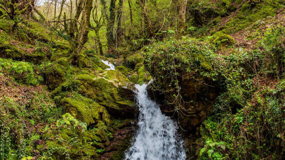آبشارهای روستای «شالما» آبشارهای روستای «شالما»