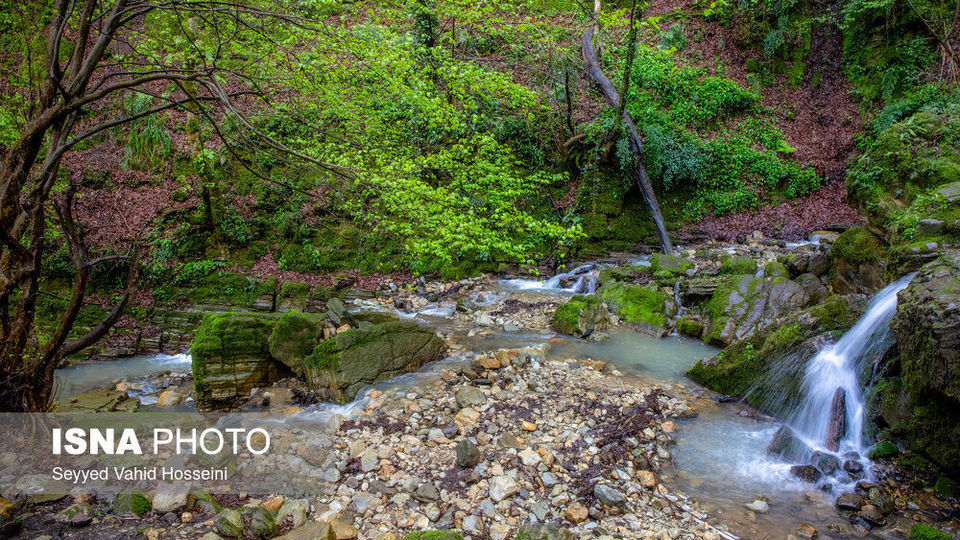 آبشارهای روستای «شالما» آبشارهای روستای «شالما»