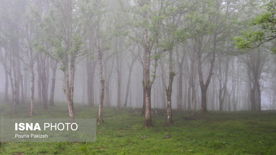 طبیعت بهاری «سیاهکل» طبیعت بهاری «سیاهکل»