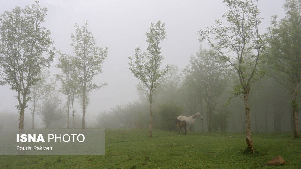 طبیعت بهاری «سیاهکل» طبیعت بهاری «سیاهکل»