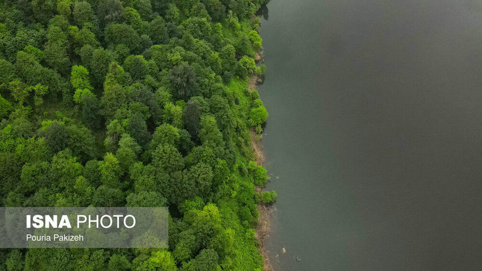 طبیعت بهاری «سیاهکل» طبیعت بهاری «سیاهکل»