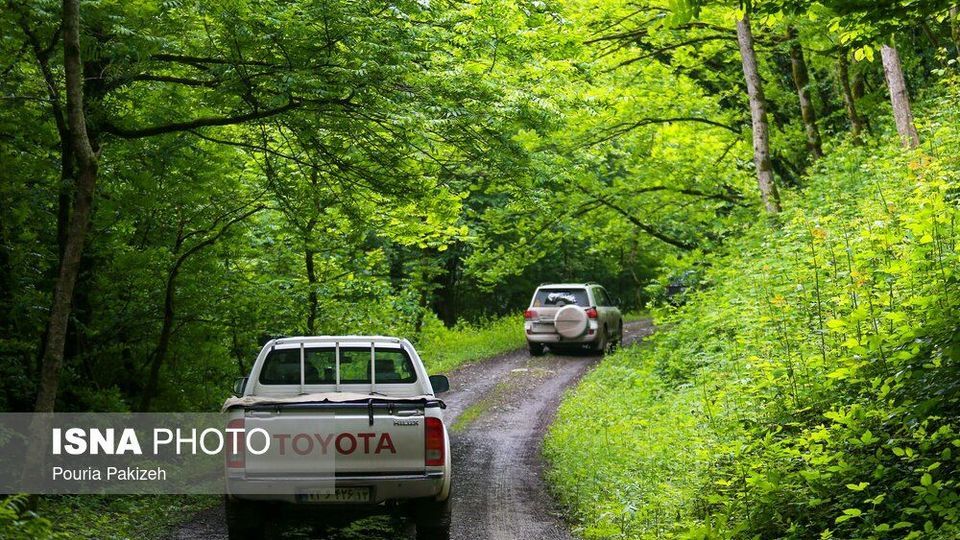 طبیعت بهاری «سیاهکل» طبیعت بهاری «سیاهکل»