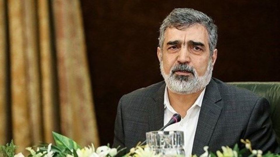 کمالوندی: بزودی خبرهای خوبی در حوزه رآکتور و رادیودارو اعلام می‌شود