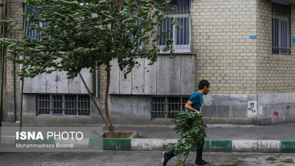 وزش باد شدید در نیمه جنوبی و غربی تهران / هوا فردا خنک‌تر می‌شود