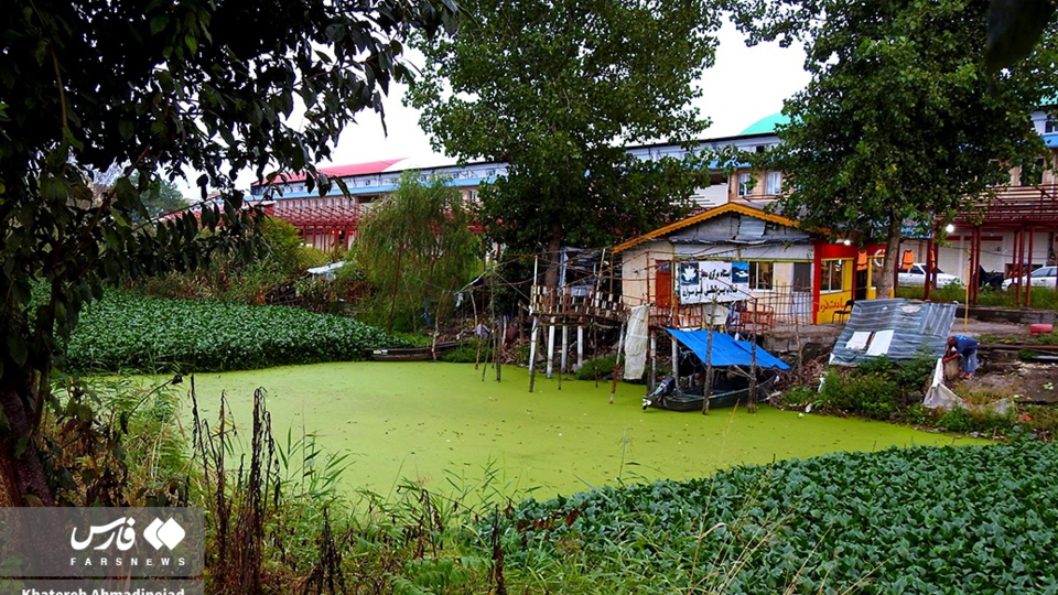 تالاب انزلی تالاب انزلی