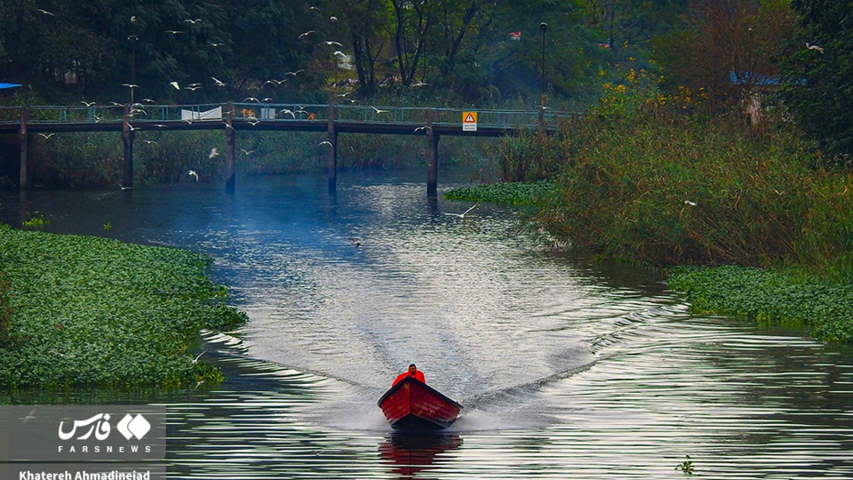 تالاب انزلی تالاب انزلی