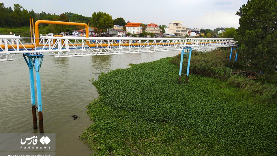 تالاب انزلی تالاب انزلی