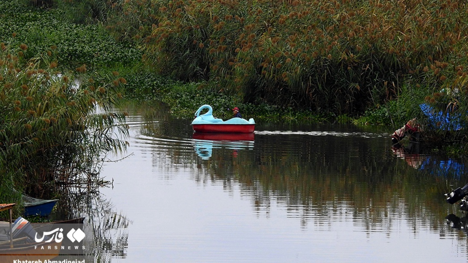 تالاب انزلی تالاب انزلی