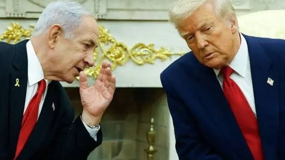 نميتوانيد با دنيا بجنگيد! نميتوانيد با دنيا بجنگيد!