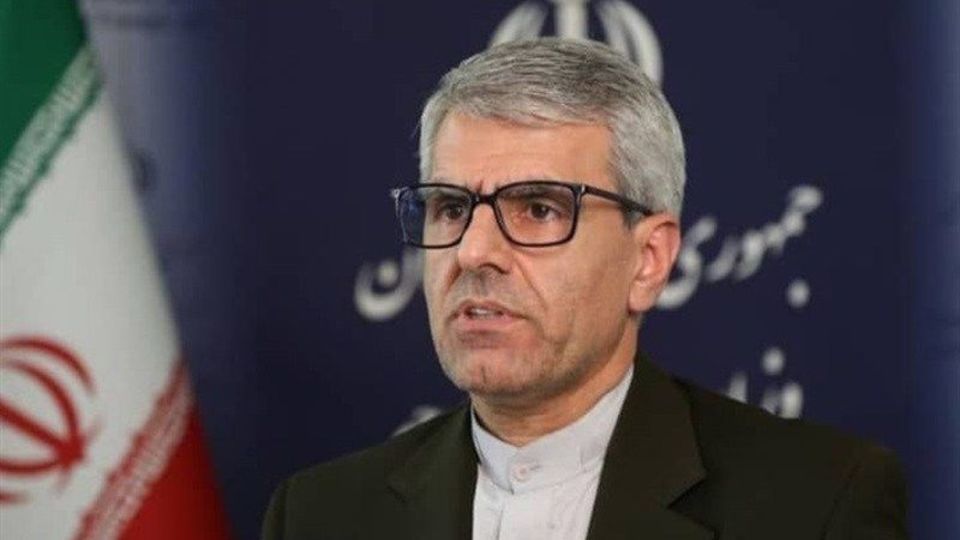 وزارت خارجه از آزادی مشروط ۲ تبعه فرانسوی خبر داد وزارت خارجه از آزادی مشروط ۲ تبعه فرانسوی خبر داد