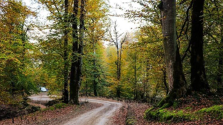 طبیعت پاییزی گیلان طبیعت پاییزی گیلان