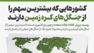 کشورهایی که بیشترین سهم را از جنگلهای کره زمین دارند کشورهایی که بیشترین سهم را از جنگلهای کره زمین دارند