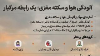 آلودگی هوا و سکته مغزی: رابطهای مرگبار آلودگی هوا و سکته مغزی: رابطهای مرگبار