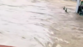 سیل ویرانگر در واشنگتن سیل ویرانگر در واشنگتن