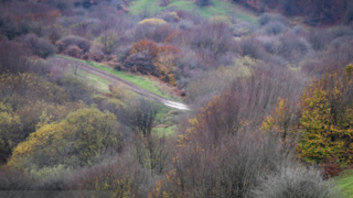 پاییز در جنگل فندقلو نمین پاییز در جنگل فندقلو نمین