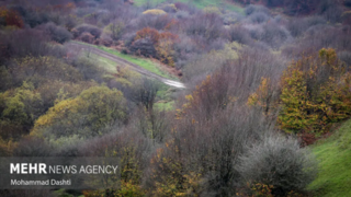 فندقلو در مرزِ مه و سکوت فندقلو در مرزِ مه و سکوت