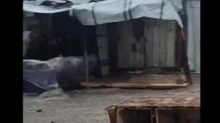 سیل در غزه سیل در غزه