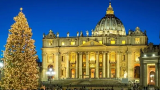درخت کریسمس واتیکان روشن شد درخت کریسمس واتیکان روشن شد
