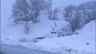 کردستان، زیبا تر از همیشه کردستان، زیبا تر از همیشه