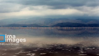 تولد دوباره دریاچه مهارلو؛ بازگشت فلامینگوها با بارشهای پاییزی تولد دوباره دریاچه مهارلو؛ بازگشت فلامینگوها با بارشهای پاییزی