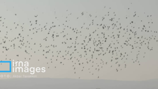 پایتخت زیر ابری از دود پایتخت زیر ابری از دود