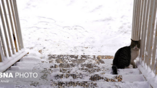 بارش برف زمستانی در اردبیل بارش برف زمستانی در اردبیل