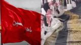 از مکه تا کربلا؛ یک پرچم فاصله است؛ پرچم سرخ «هیهاتمنالذله» از مکه تا کربلا؛ یک پرچم فاصله است؛ پرچم سرخ «هیهاتمنالذله»