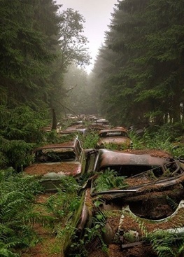 ترافیک ۷۰ ساله در جنگل بلژیک!+عکس