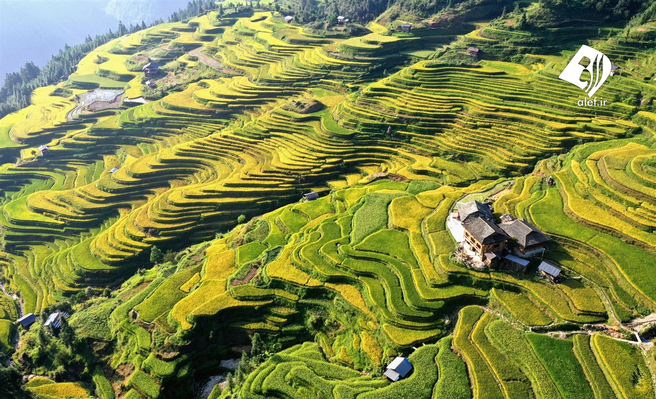 Province china. Провинция Гуйчжоу Китай. Плато Юньнань Гуйчжоу. Гуан Китай провинция Гуйчжоу. Провинция Гуйчжоу достопримечательности.